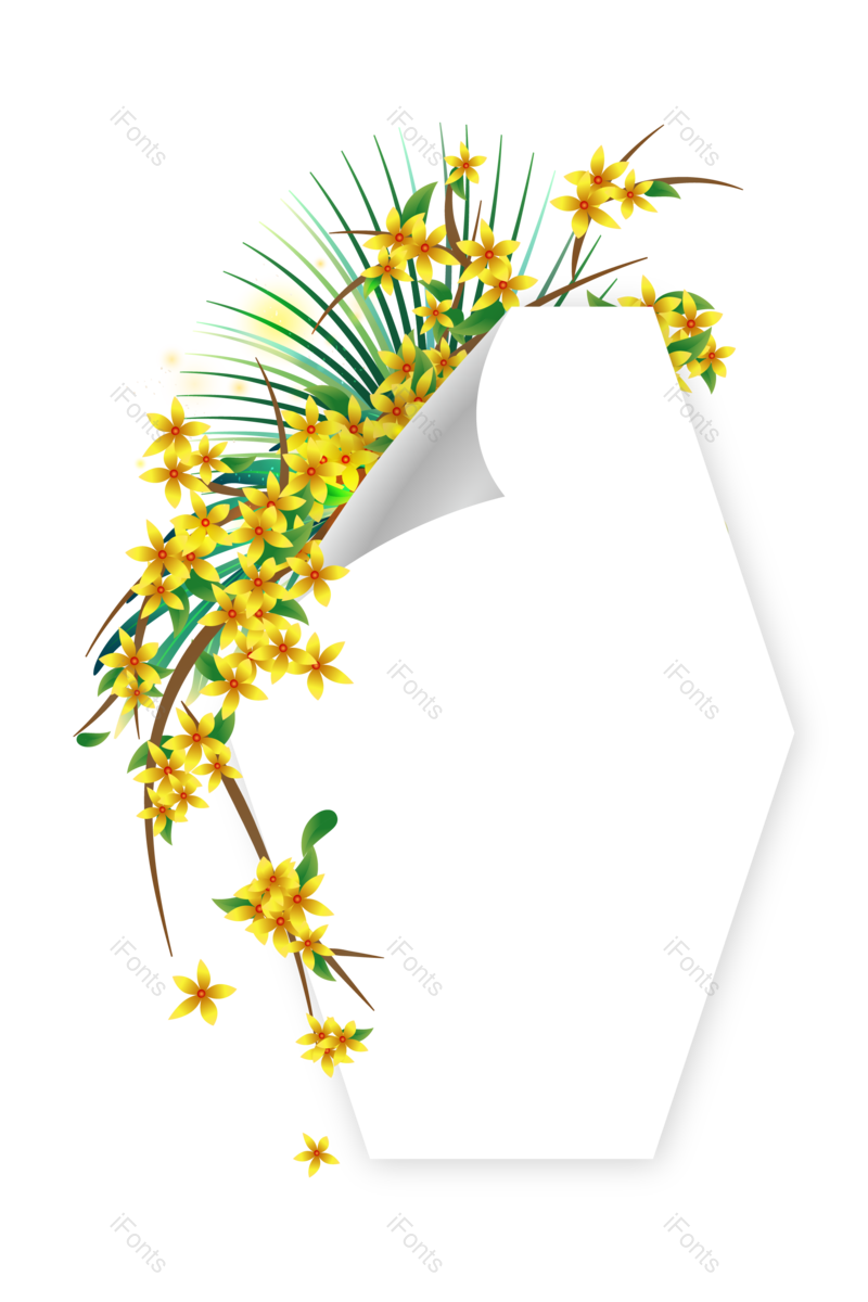 边框图片,矢量素材元素,花草PNG,透明免抠素材